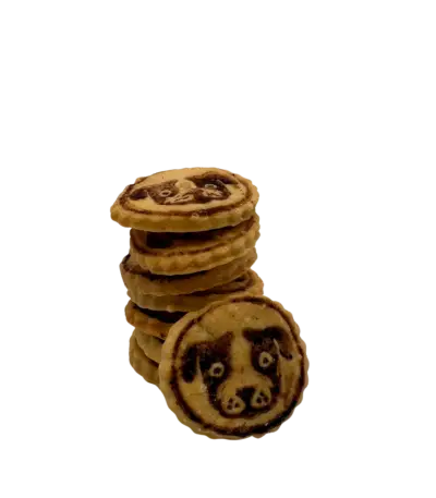 Handgemachte Hundekekse aus Käseteig, Käse-Köpfe mit süßen Hundegesichtern
