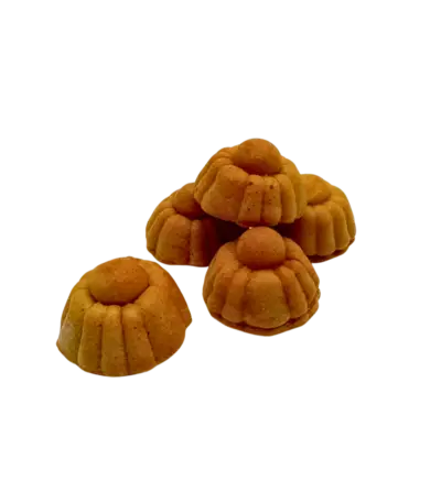 Handgemachte Hundekekse in Pralinen-Form mit Thunfisch