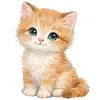 Kitten