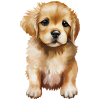 Welpen