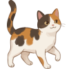 Katzen